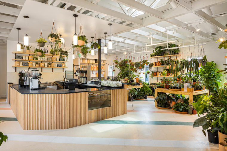 bellwood coffee 3