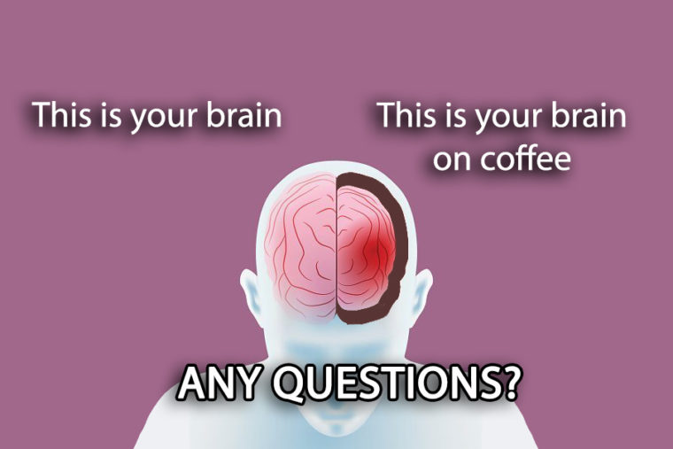 this is your brain