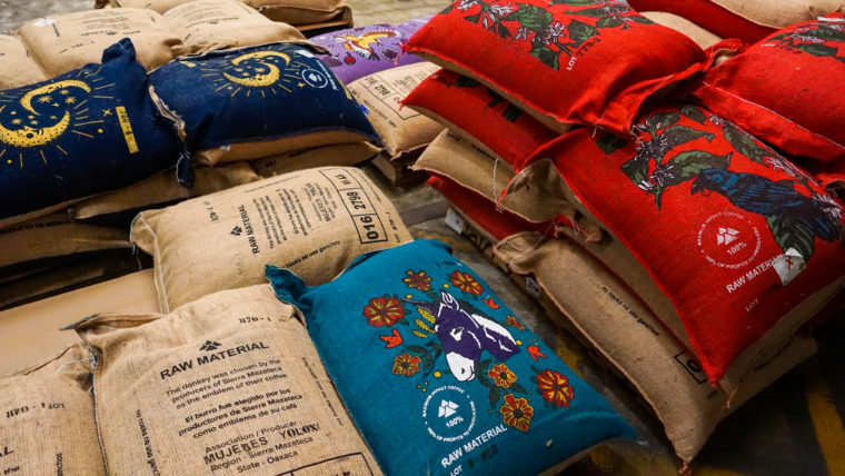 los hermanos luna, sierra mazateca, sierra juarez © raw material