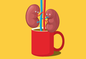 kidneys coffee
