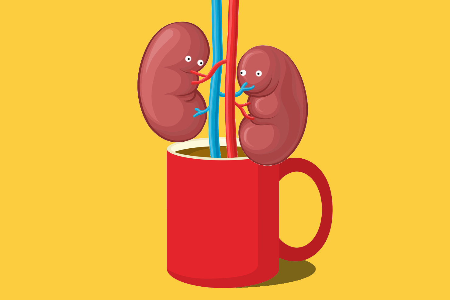 kidneys coffee