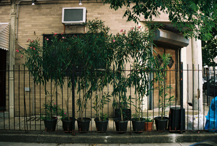 honeymooncoffeeshop02