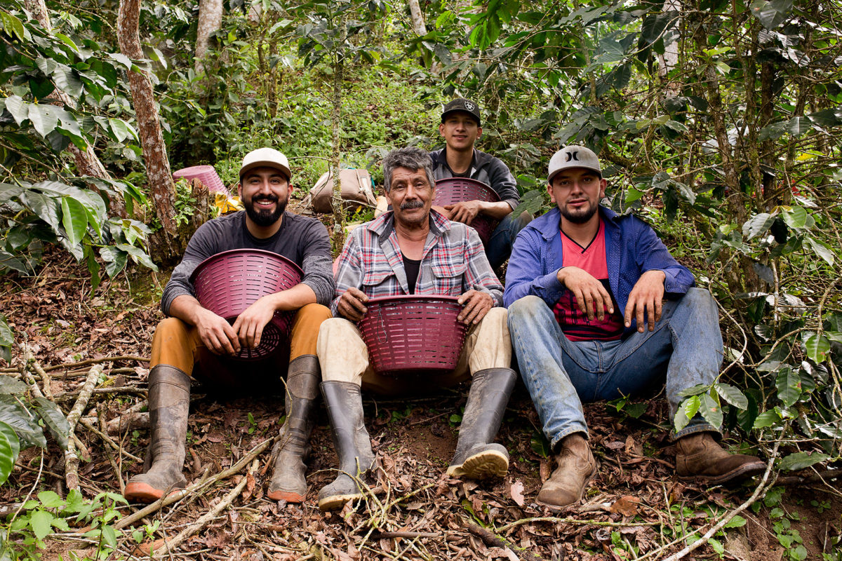 New On Sprudge Special Projects, A Look At Community Supported Agriculture In Coffee - Vimarsana News