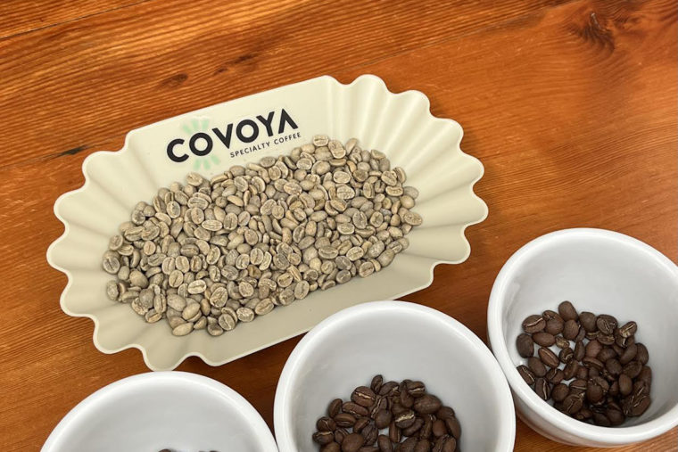 covoya1