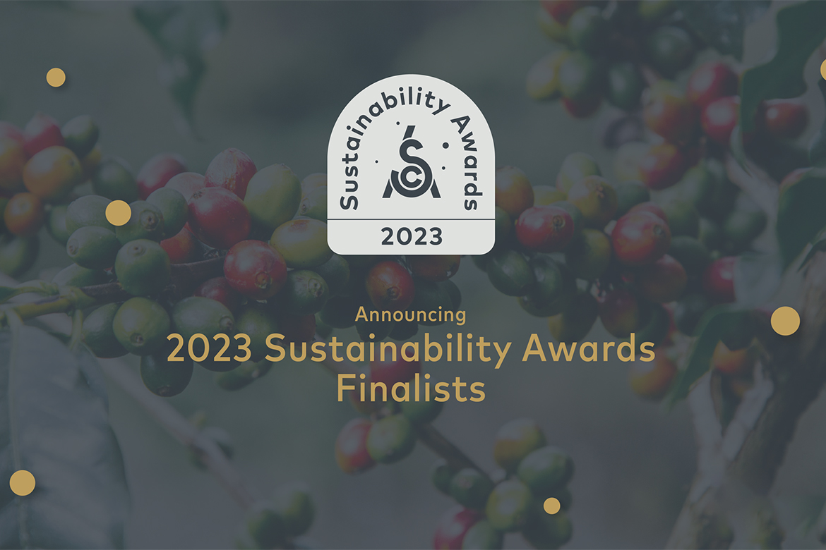 sustainability finalists