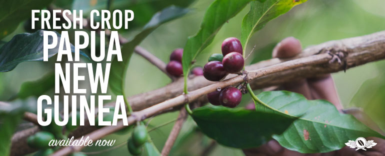 El banner de Cafe Imports Fresh Crop Papúa Nueva Guinea ya está disponible