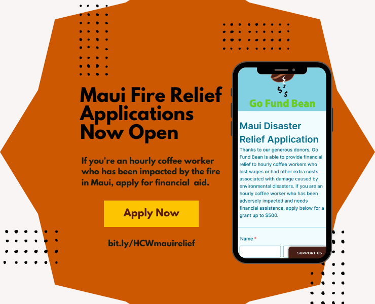 banner advertising Go Fund Bean disaster relief maui fire