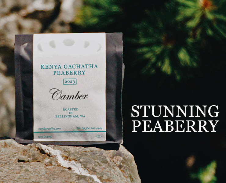 banner advertising camber coffee roasters Kenya Gachatha stunning peaberry