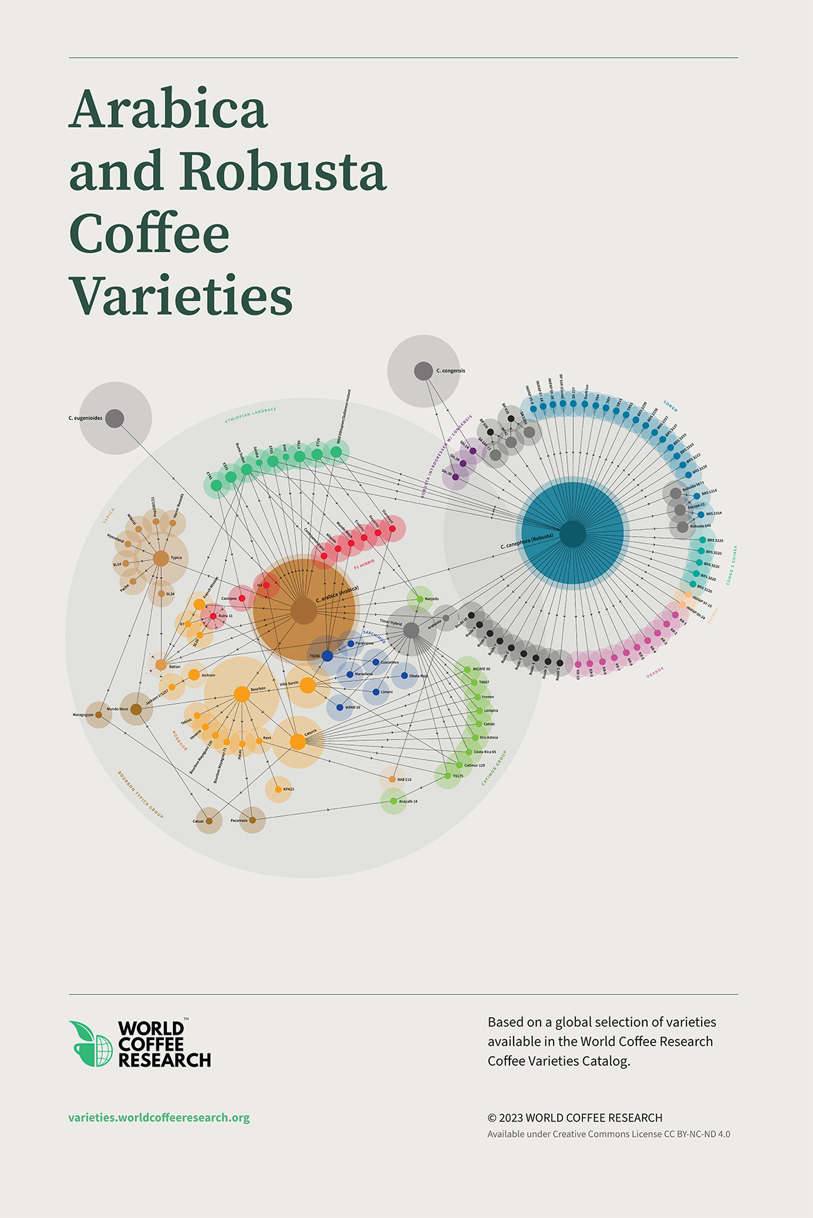 [digital version] coffee varieties poster 24x36