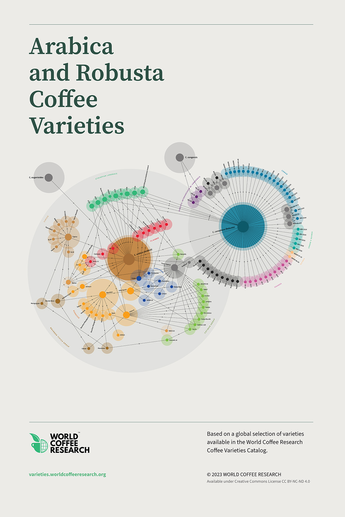 coffee research