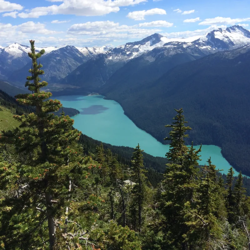 The Sprudge Guide To Coffee In Whistler, British Columbia - Vimarsana News