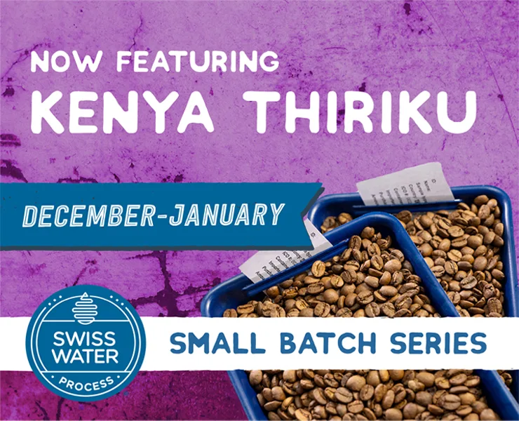 banner advertising swiss water small batch series kenya thiriku
