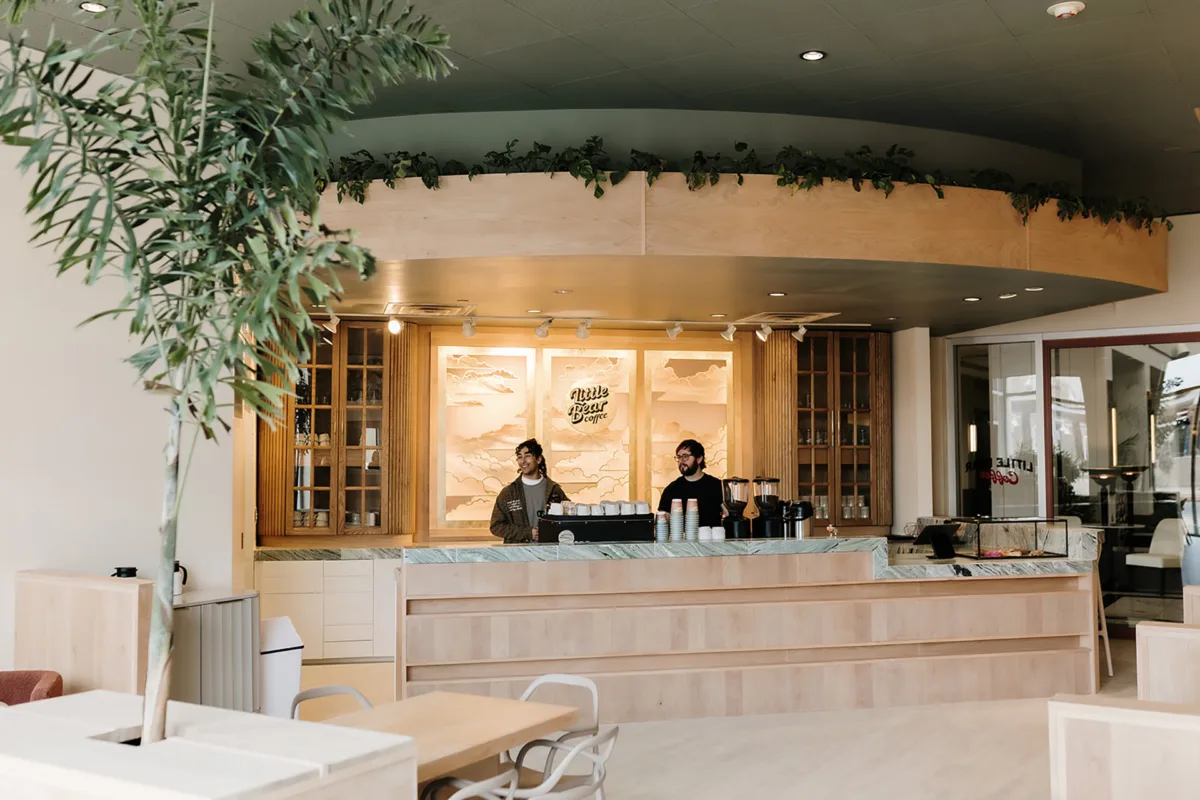 Sprudge Maps Spotlight: Little Bear Coffee In Albuquerque, NM - Vimarsana News