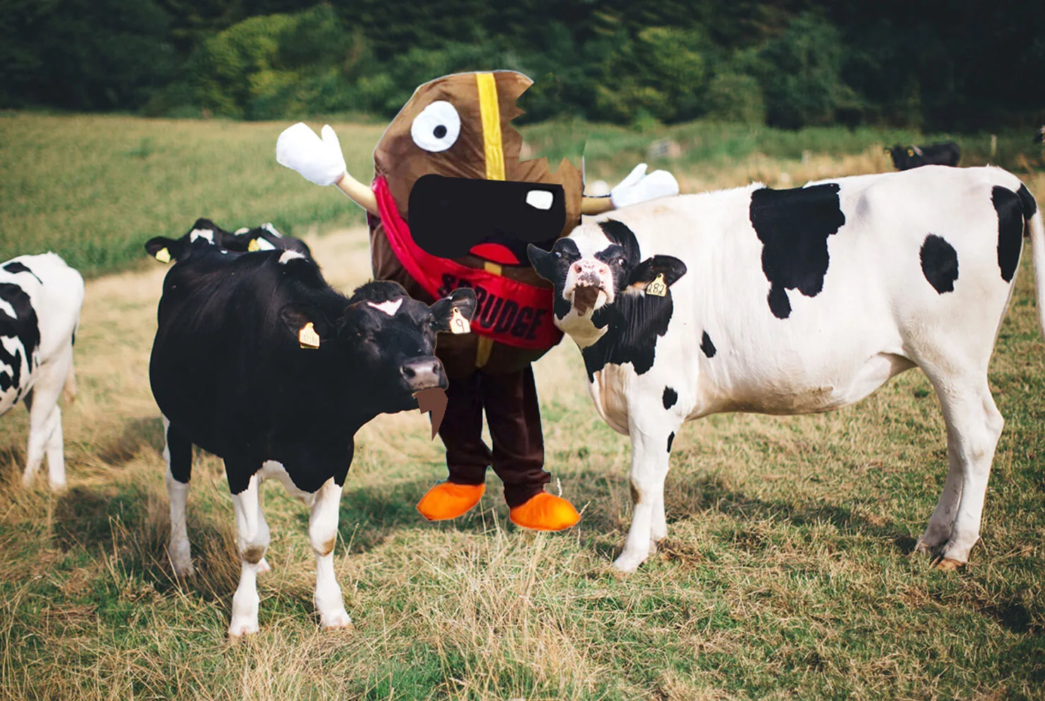 cows eating spesh l tee coffee bean mascot sprudge