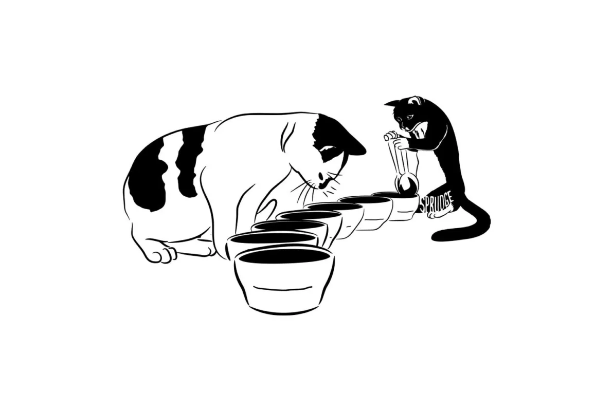 What Is Coffee Cupping? | Sprudge Coffee - Vimarsana News