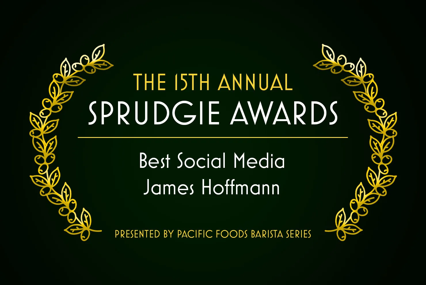 sprudgie awards 15 best social media