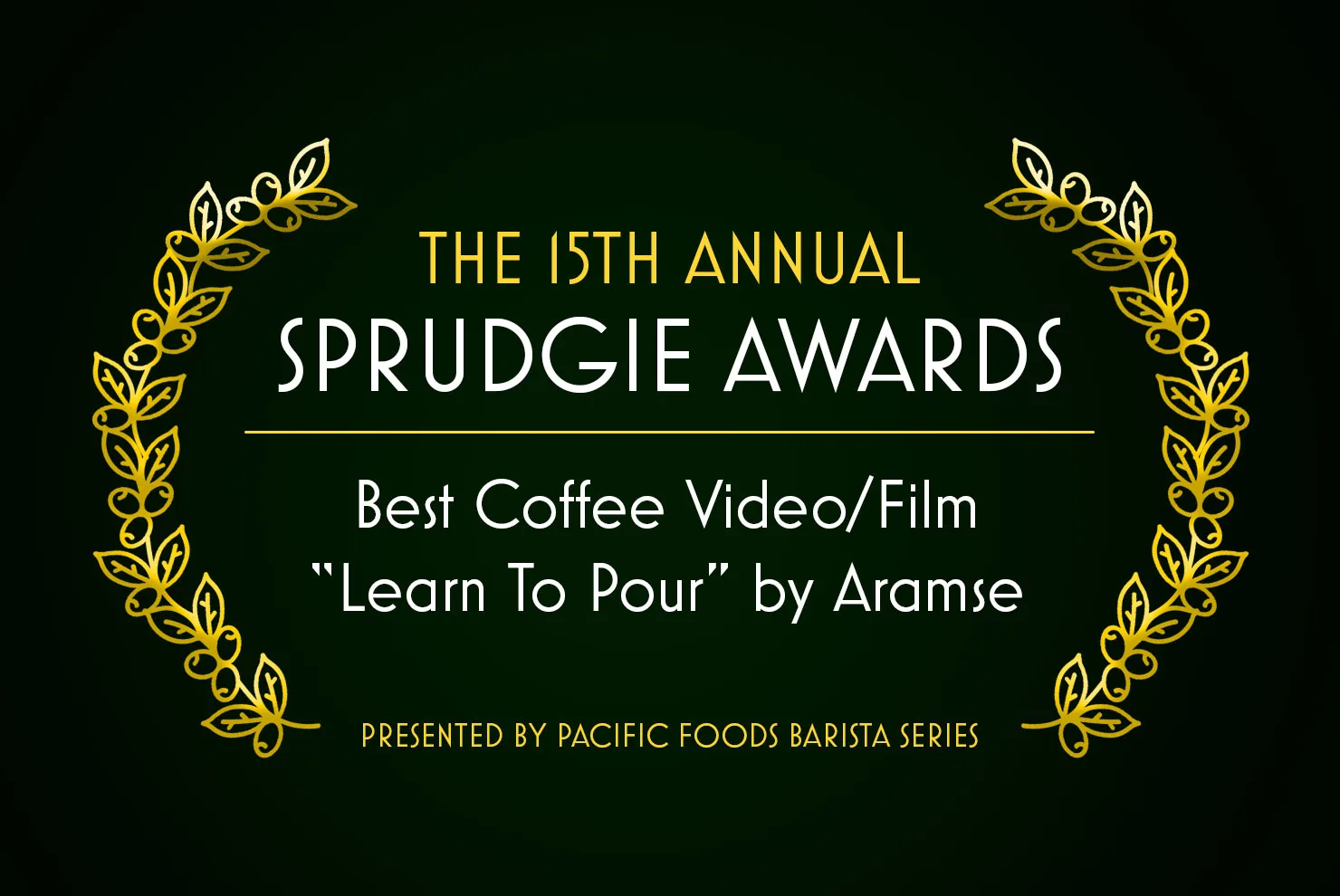 sprudgie awards 15 best video film