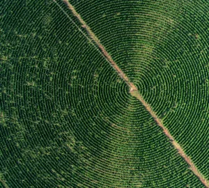 brazil coffee farm aerial