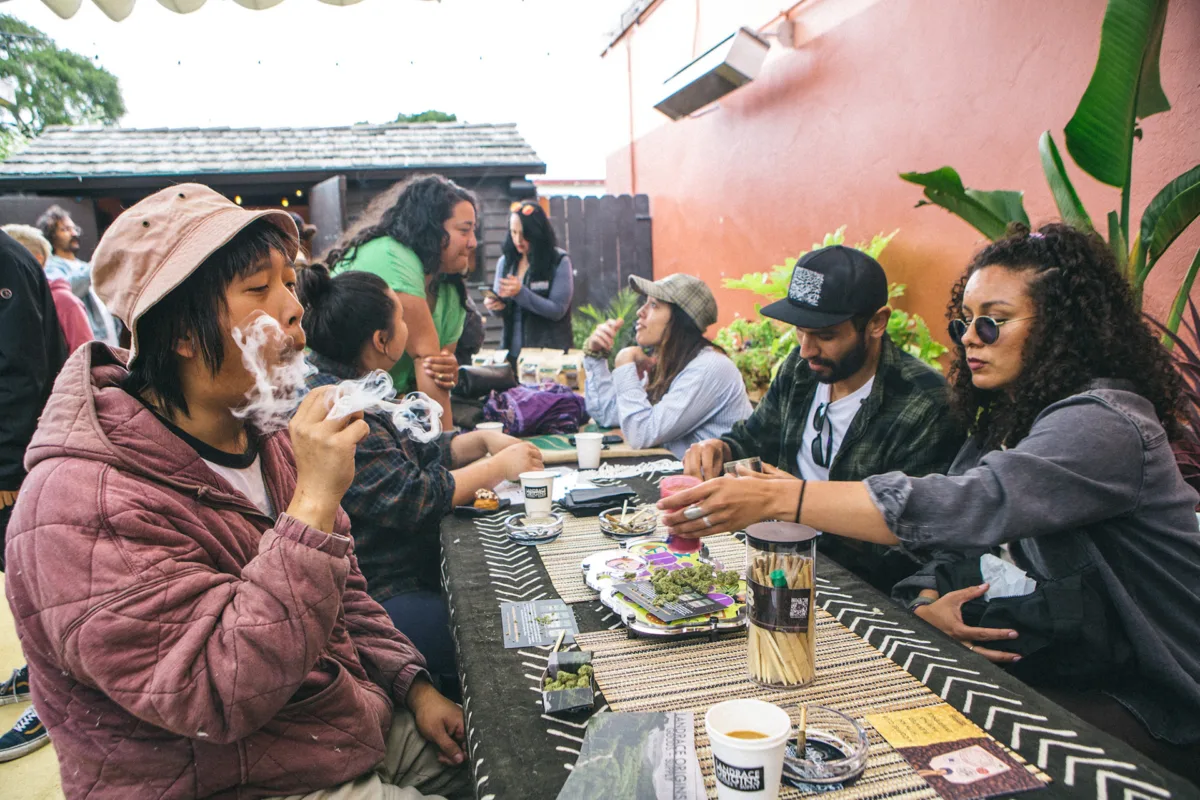 Meet Landrace Origins, A California Company Combining Coffee And Cannabis - Vimarsana News