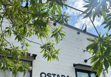 ostara coffee 1