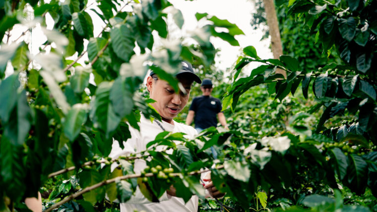 indonesian trend daryanto witarsa daryanto witarsa 1