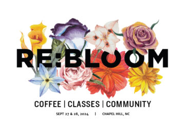 rebloom cel 12