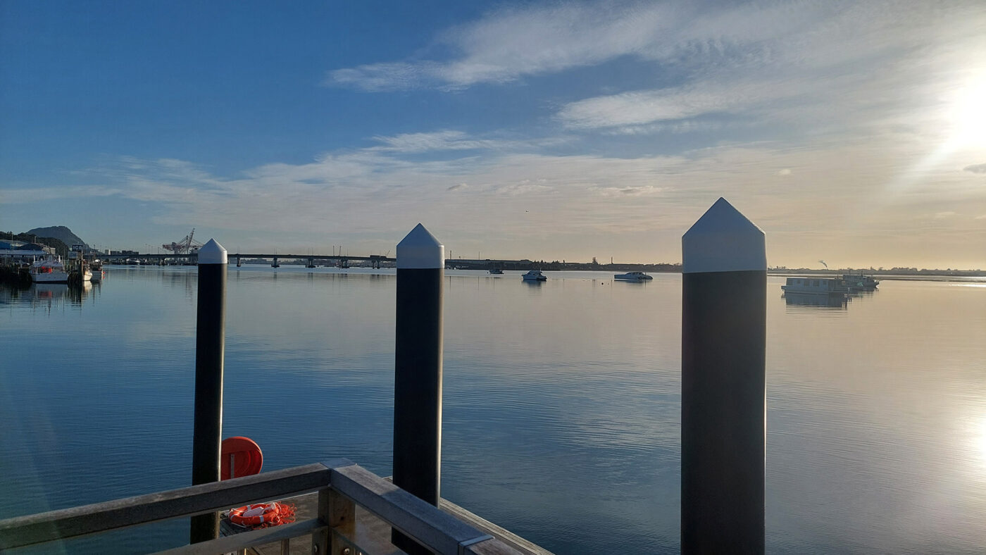 tauranga tauranga establishing inner harbor anthony bull 02