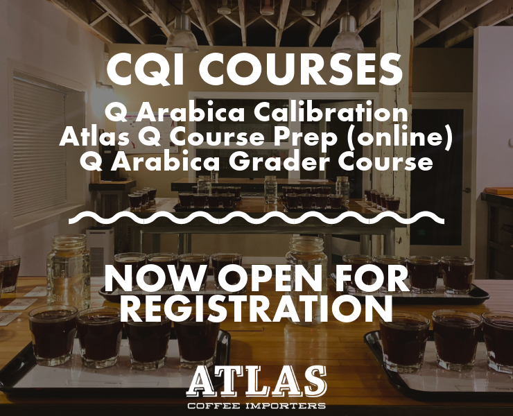 banner advertising atlas coffee importers Q courses