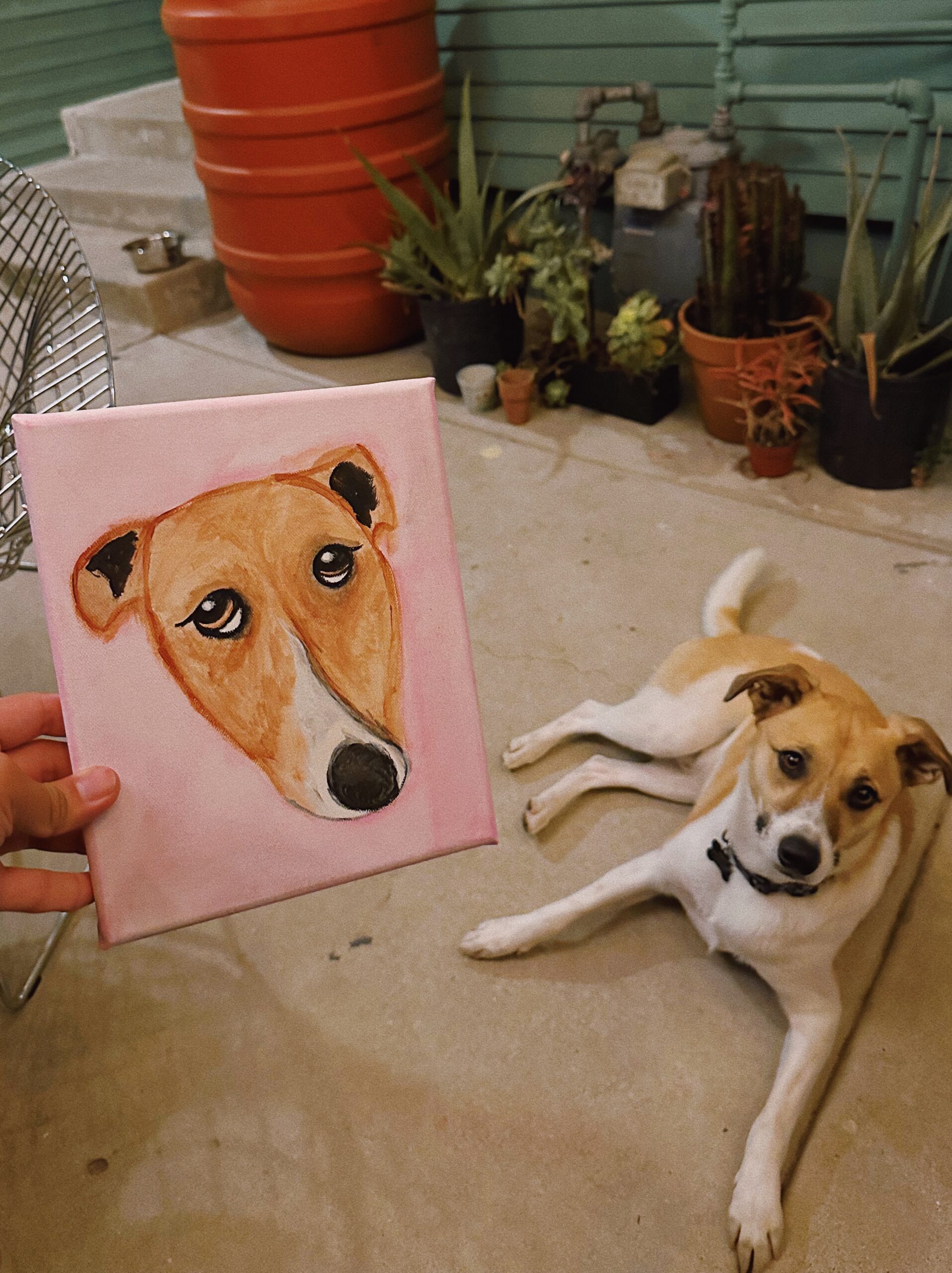 processed with vsco with au5 preset