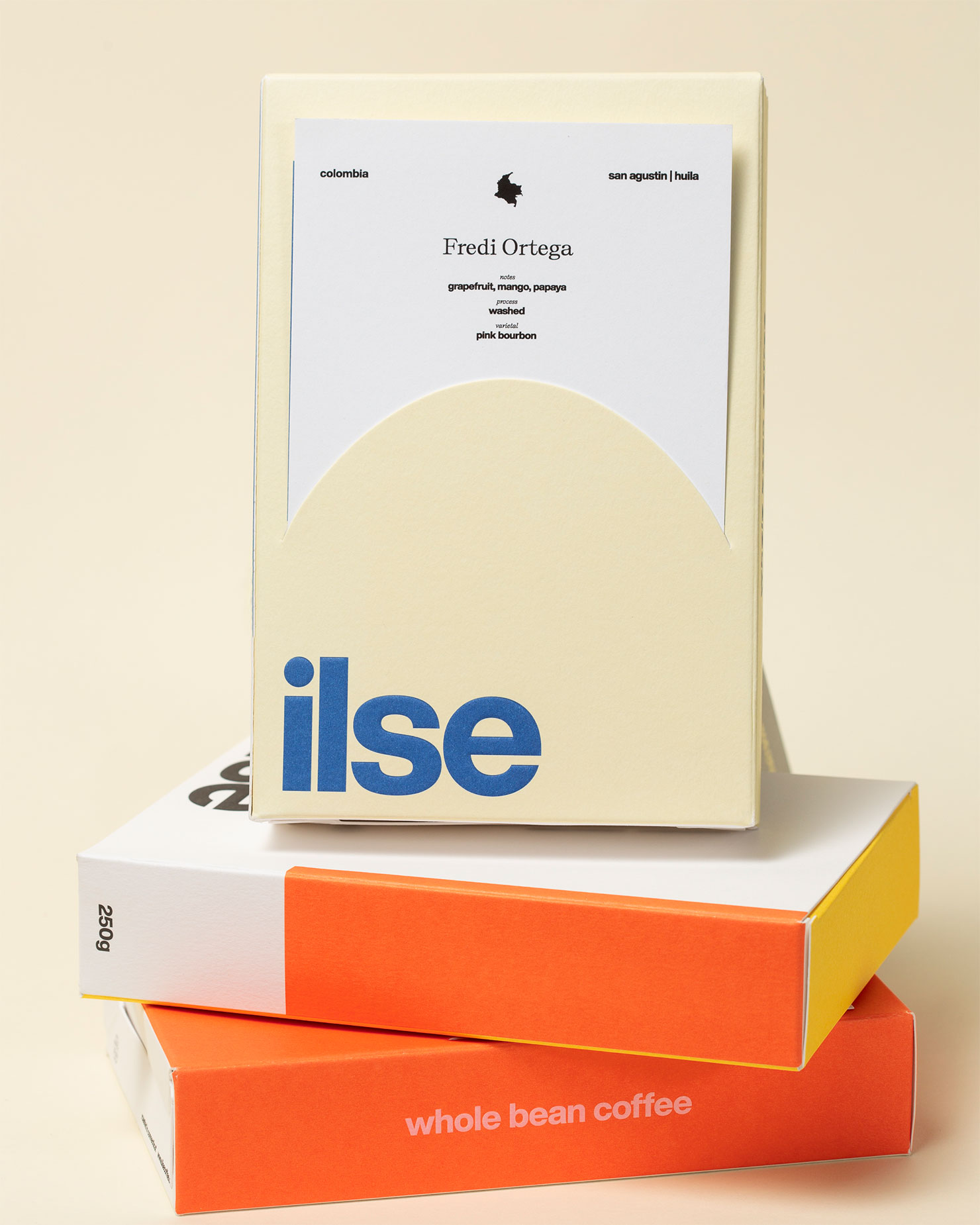 ilse design entry 03