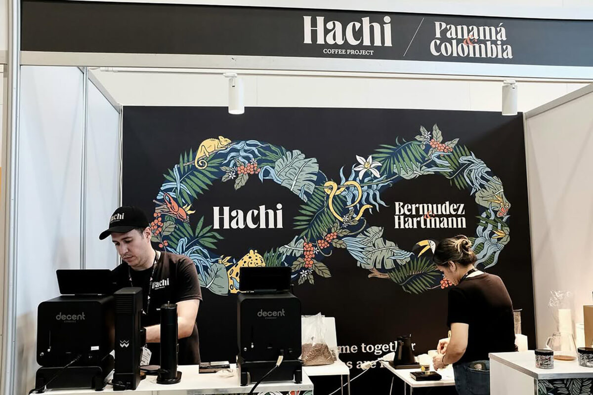 hachi project at woc copenhagen tung nguyen