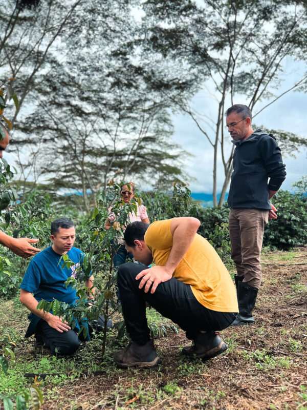 matheus antonaci (left) and diego bermudez (centre) and scott rao (right) hachi project