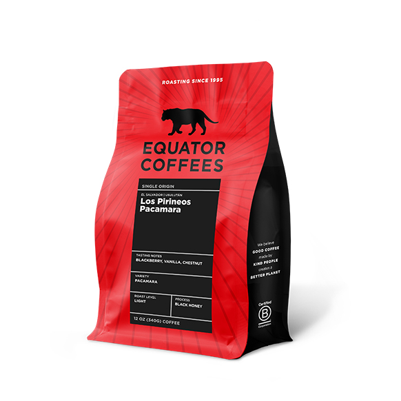 Equator Coffee El Salvador Los Pirineos Pacamara Black Honey Sprudge Roaster's Village