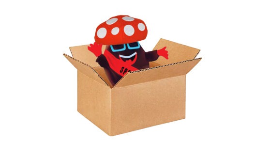 mushroom bean box