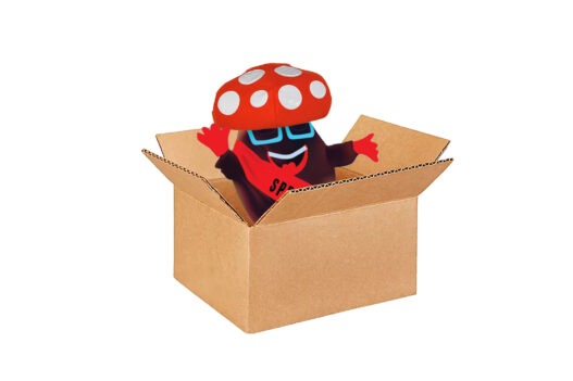 mushroom bean box