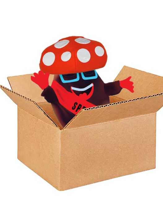 mushroom bean box