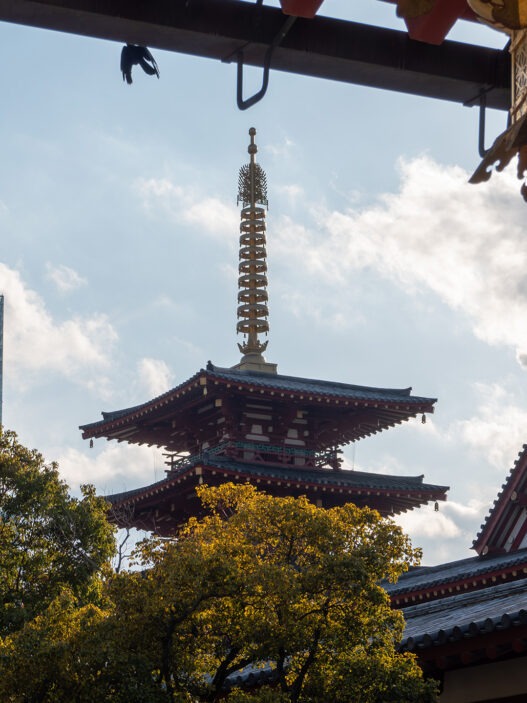 osaka guide osaka establishing shot shitennoji michael joseph 02