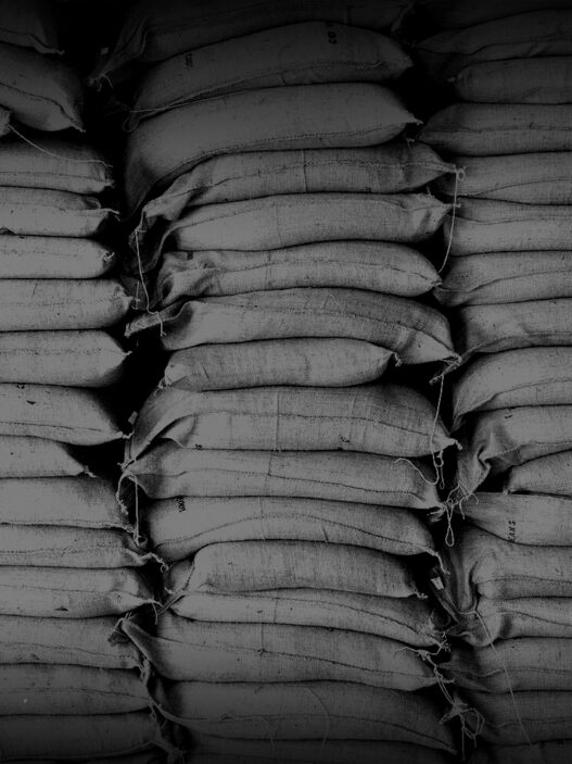 green coffee bags b&w