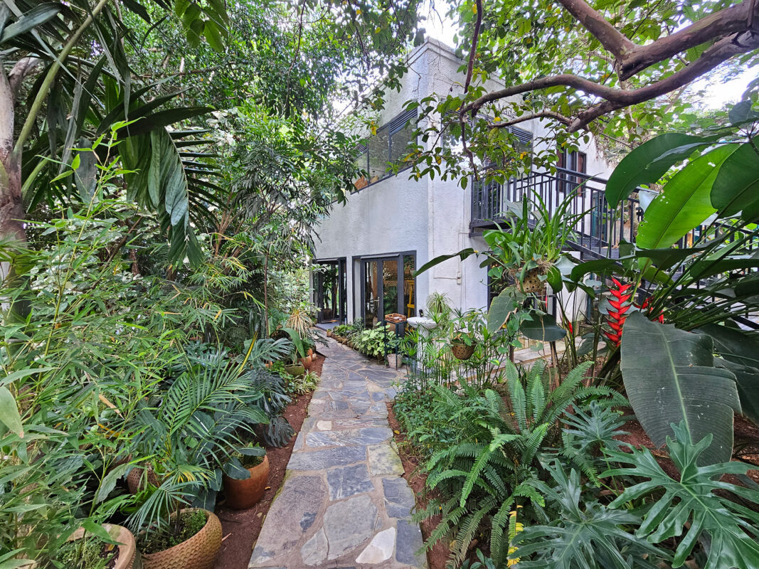 kigali guide indabo cafe 01 outdoor tidenek haileselassie