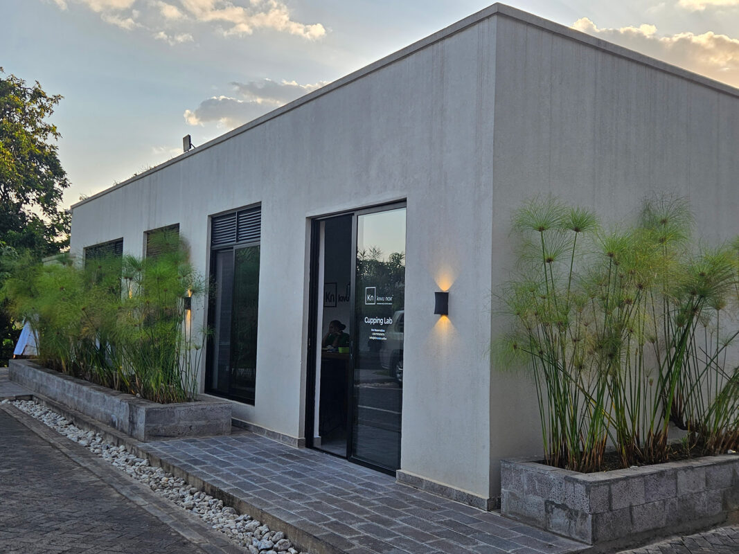 kigali guide kivu noir 01 external tidenek haileselassie