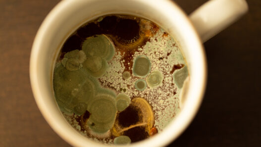 adobestock 308447289