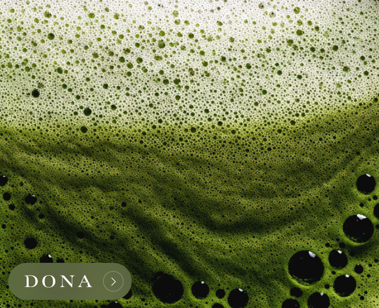 banner advertising DONA chai and tea