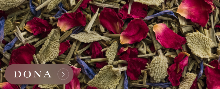 banner advertising DONA