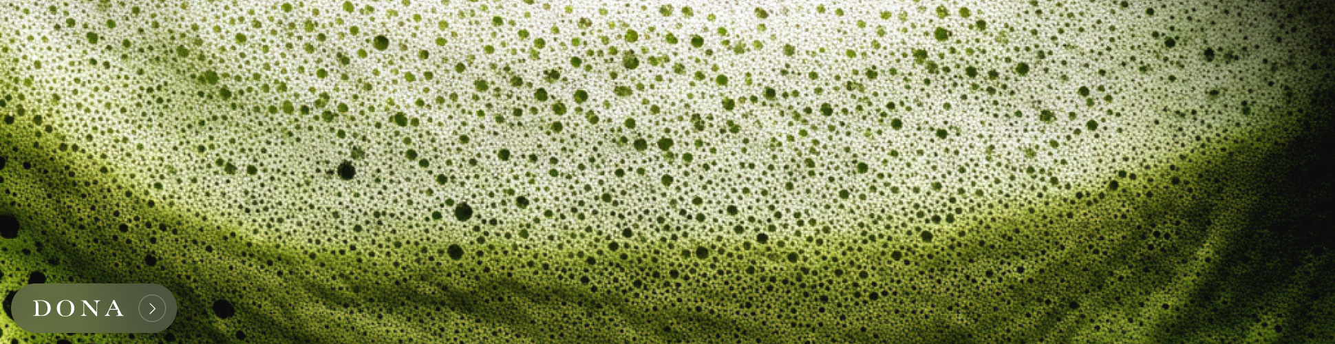 banner advertising DONA