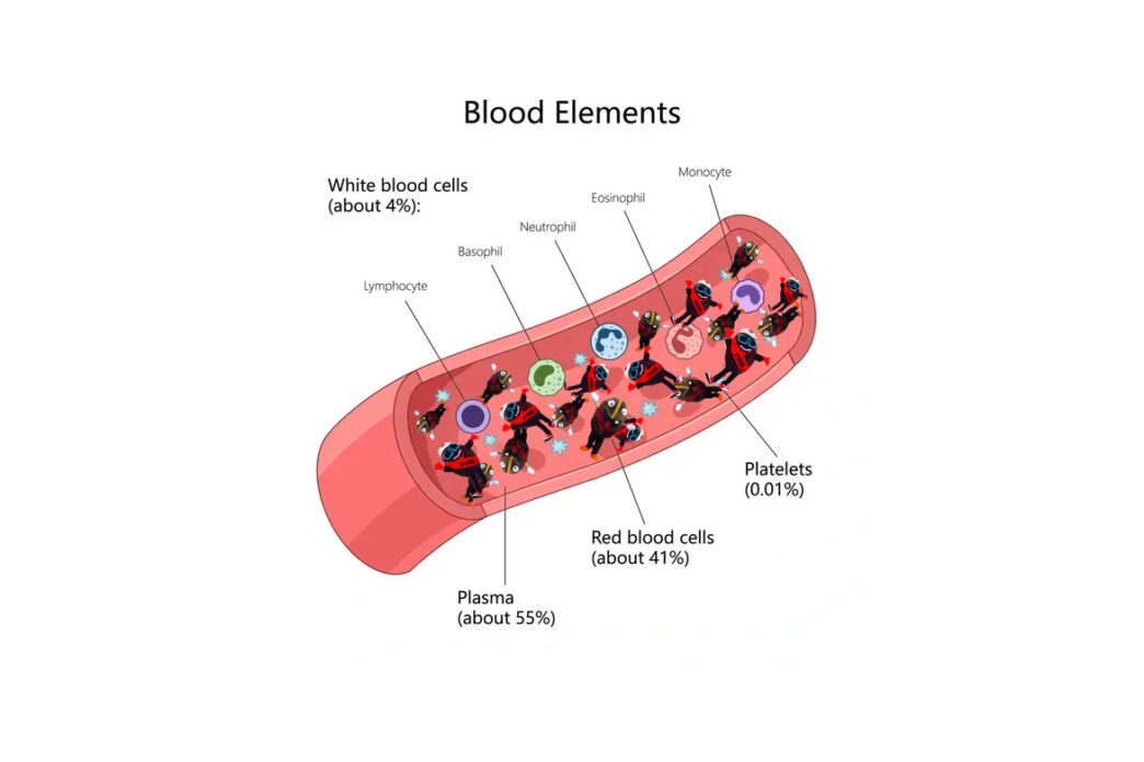 buzzy spesh red blood