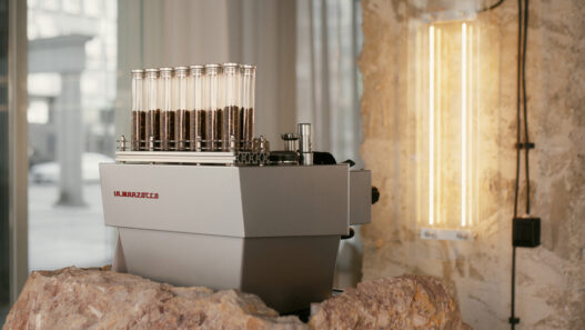 raw coffee ljubljana 6