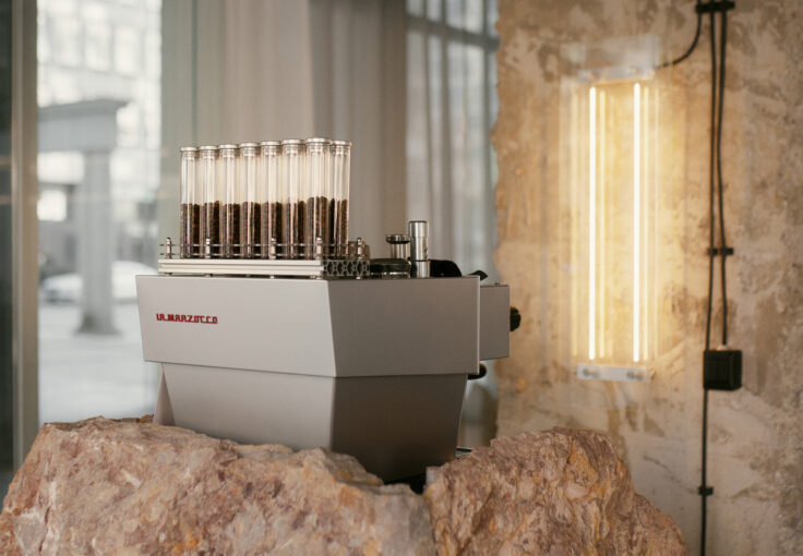 raw coffee ljubljana 6