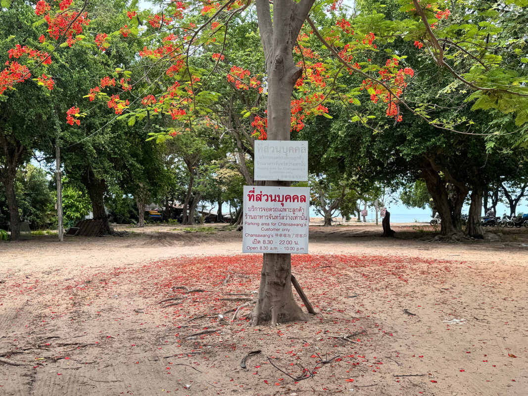 article shot hua hin photos benjamin sand2