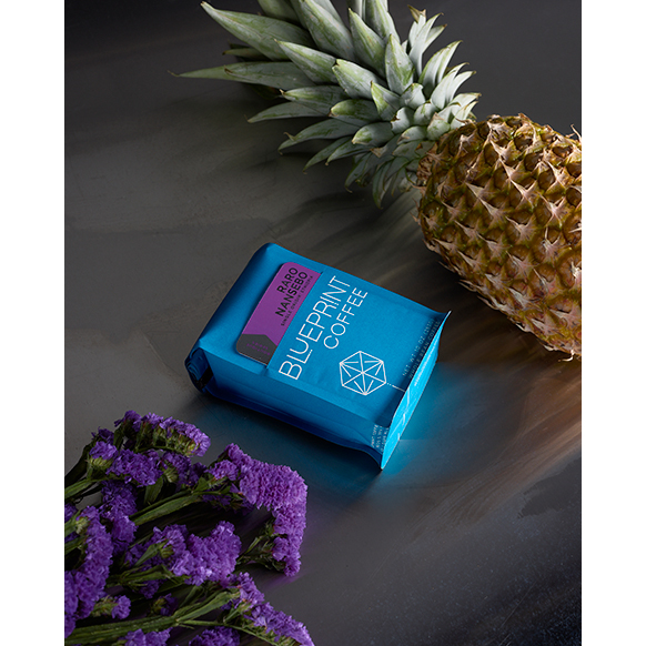 Blueprint coffee Raro Nansebo Ethiopia Sprudge roaster's village