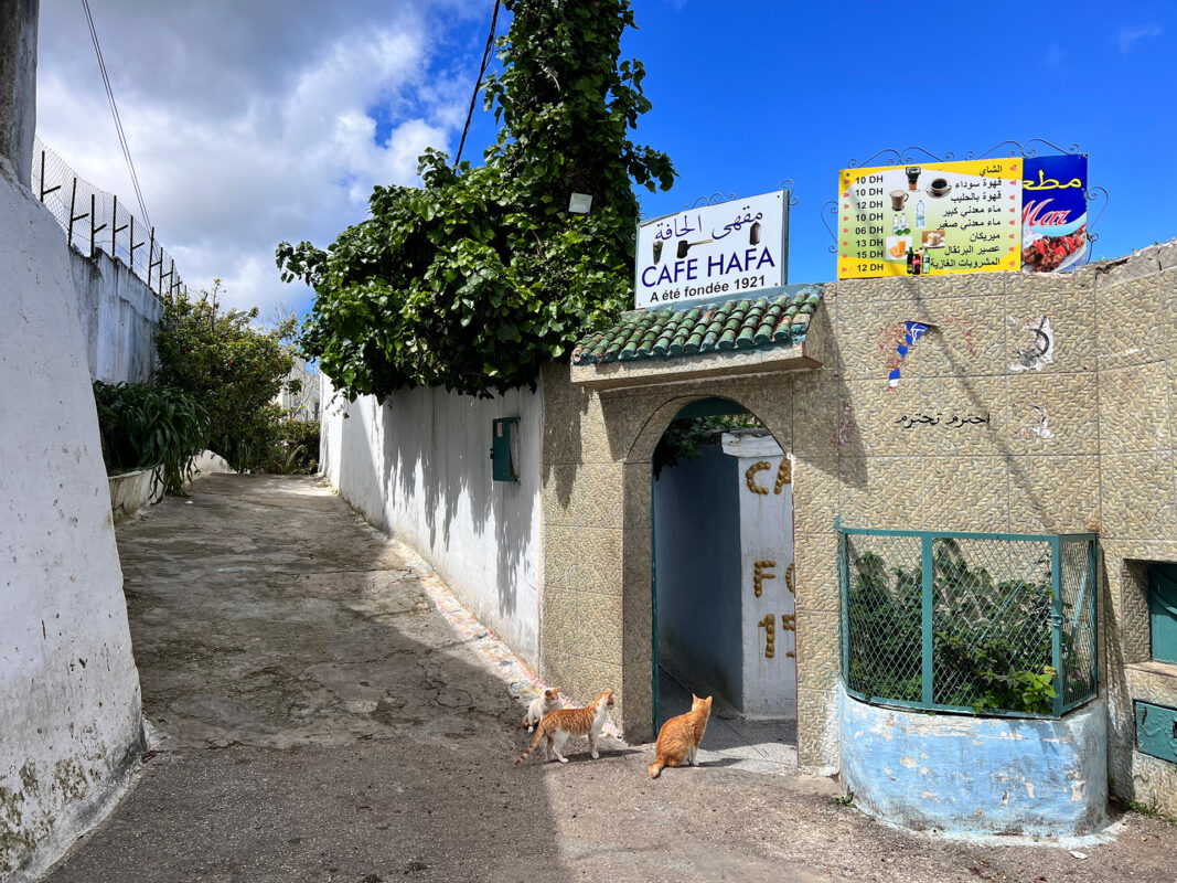 hafa cafe Tanger Sprudge Benjamin Sand6